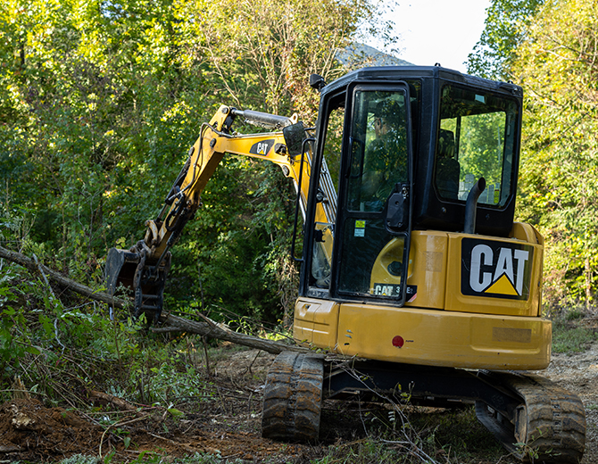 Forrest Excavation Brush Cutting Approach